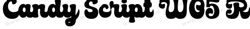Candy Script W05 Regular Regular字体转换